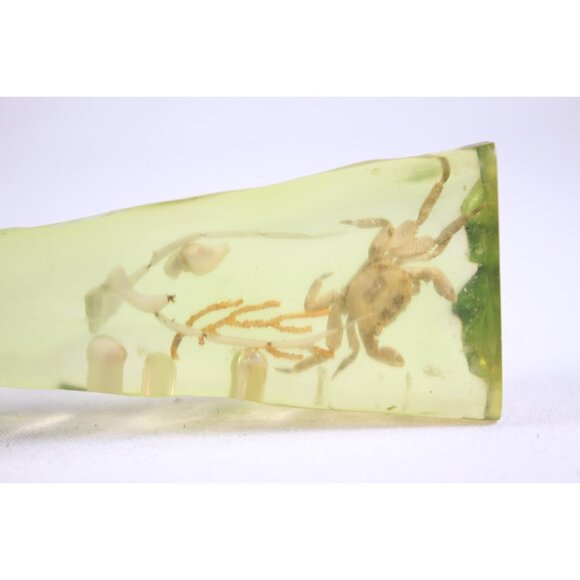 1960-1980s lucite acrylic sea theme bottle opener, taxidermy miniature crab soda - Picture 8 of 9